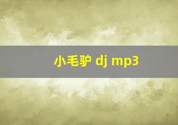 小毛驴 dj mp3